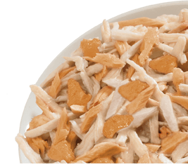 Umido gatto, umido per gatto, umido gatti, umido per gatti, umido naturale per gatti salmone, Life Natural filetti gatto, cibo umido gatti senza additivi, salmone al vapore per gatti, ricette Life Cat Natural 85 g, Life Natural salmone gatto