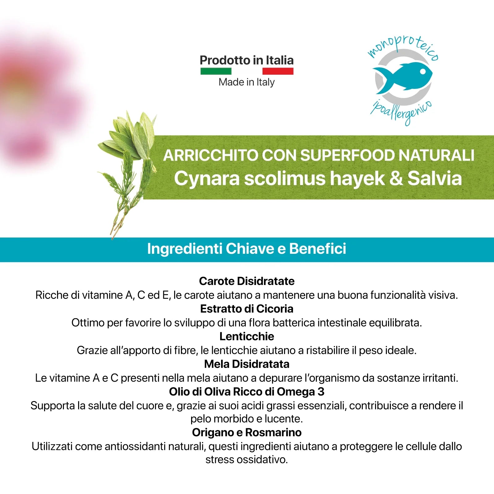 crocchette monoproteiche cane, crocchette al salmone cane, cibo ipoallergenico per cani, crocchette italiane per cani, crocchette per cani intolleranti, alimentazione naturale cane, dieta mediterranea per cani, cibo per cani made in Puglia, Althea Super Premium cane
