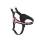 pettorina cane tre ponti, pettorina regolabile cane, pettorina cane piccola taglia, pettorina cane media taglia, pettorina cuccioli regolabile, pettorina cane lycra, pettorina traspirante cane, pettorina resistente acqua cane, pettorina Made in Italy cane