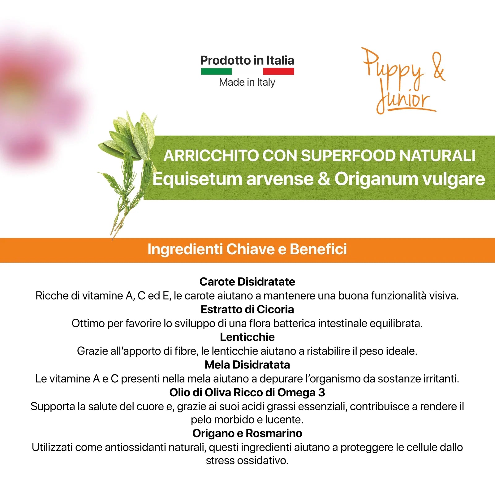 althea crocchette cane cucciolo, crocchette puppy taglia piccola, alimento cuccioli proteico, crocchette con salmone, cibo secco cane crescita, Althea Puppy & Junior, crocchette con uova, crocchette con omega 3 cuccioli