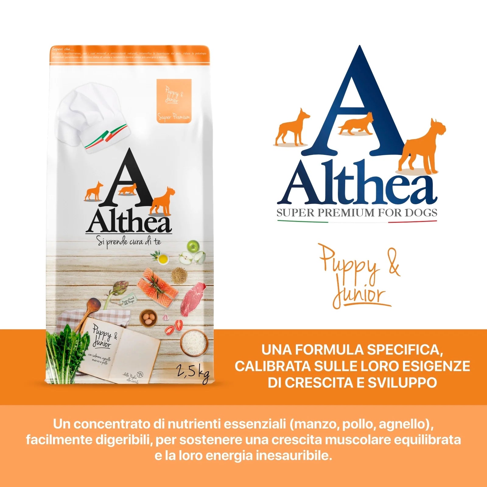 crocchette cane cucciolo, crocchette per cuccioli di taglia grande, cibo secco puppy e junior, crocchette al salmone per cuccioli, crocchette con proteine di manzo e agnello, crocchette con calcio e uova per cuccioli, Althea Puppy Junior cibo naturale, crocchette wellness per cuccioli
