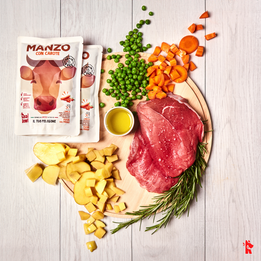 Real Bowl - Multipack Pasto Pronto Senza Cereali per Cani con Ingredienti Freschi Grain Free Formato Convenienza 7 x 400g