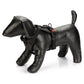 Karlie - Pettorina per Cani ad Y Art Sportive Premium
