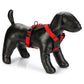 Karlie - Pettorina per Cani ad Y Art Sportive Premium