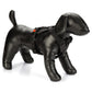 Karlie - Pettorina per Cani ad Y Art Sportive Premium