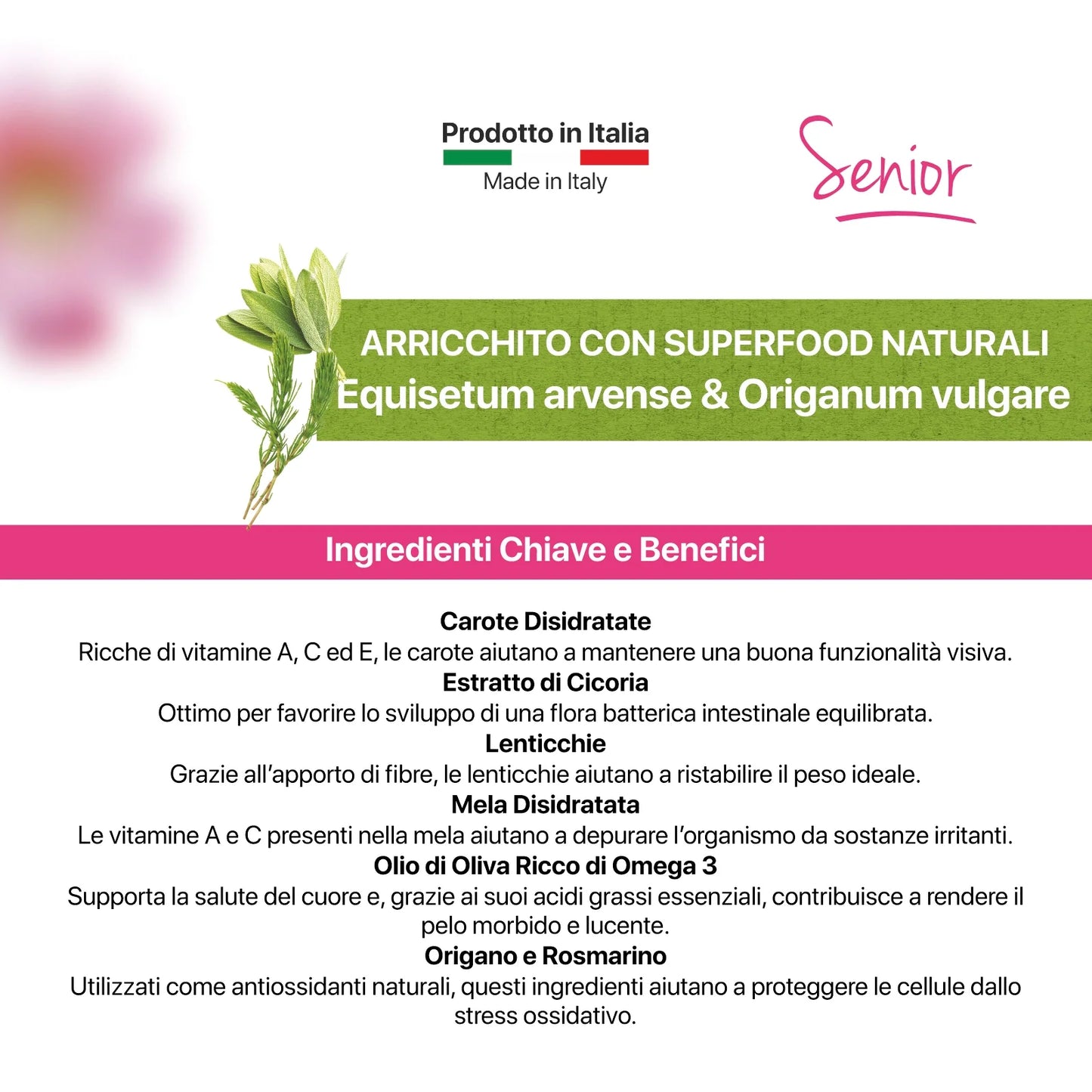 crocchette cane anziano, althea senior, cibo cane anziano con glucosamina, crocchette per articolazioni cane anziano, alimento per cani anziani made in Puglia, crocchette con condroitina e glucosamina cane, crocchette con omega 3 e 6, Althea Super Premium Senior