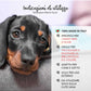 Yuup! - Shampoo Ravvivante per Cani a Manto Nero e Scuro 250 ml