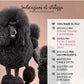 Yuup! - Shampoo Volumizzante per Cani e Gatti a Manto Riccio e Liscio 250 ml