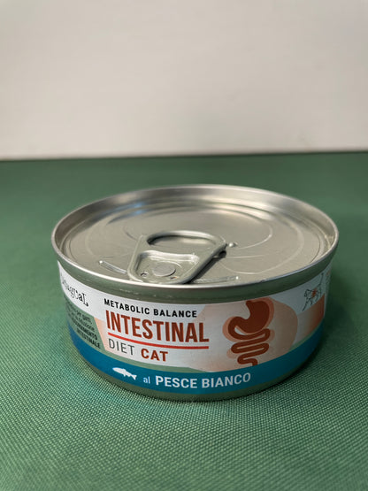 Disugual - Lattina umido per gatti con problemi intestinali Intestinal 85g